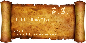 Pillis Beáta névjegykártya
